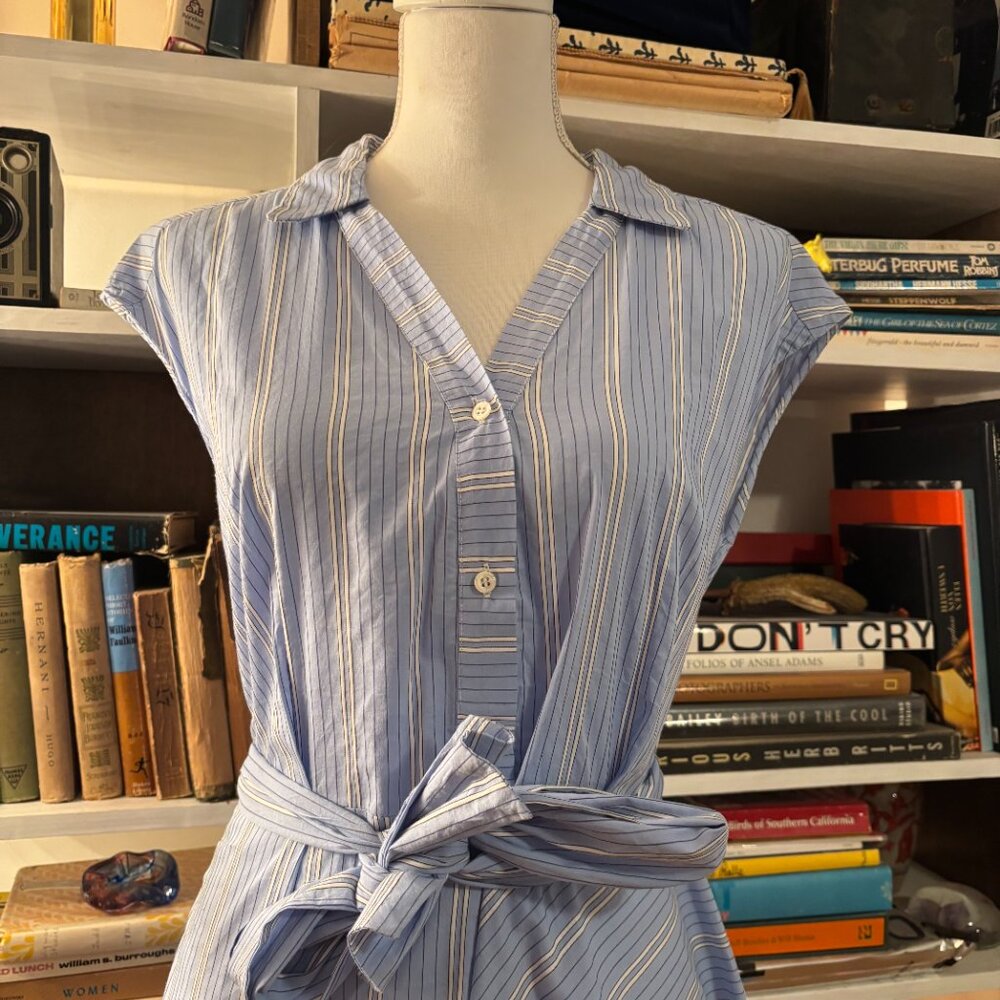 AGLINI PINSTRIPE DRESS - Picture 2 of 8